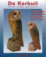 Chouette effraie (Tyto alba guttata)